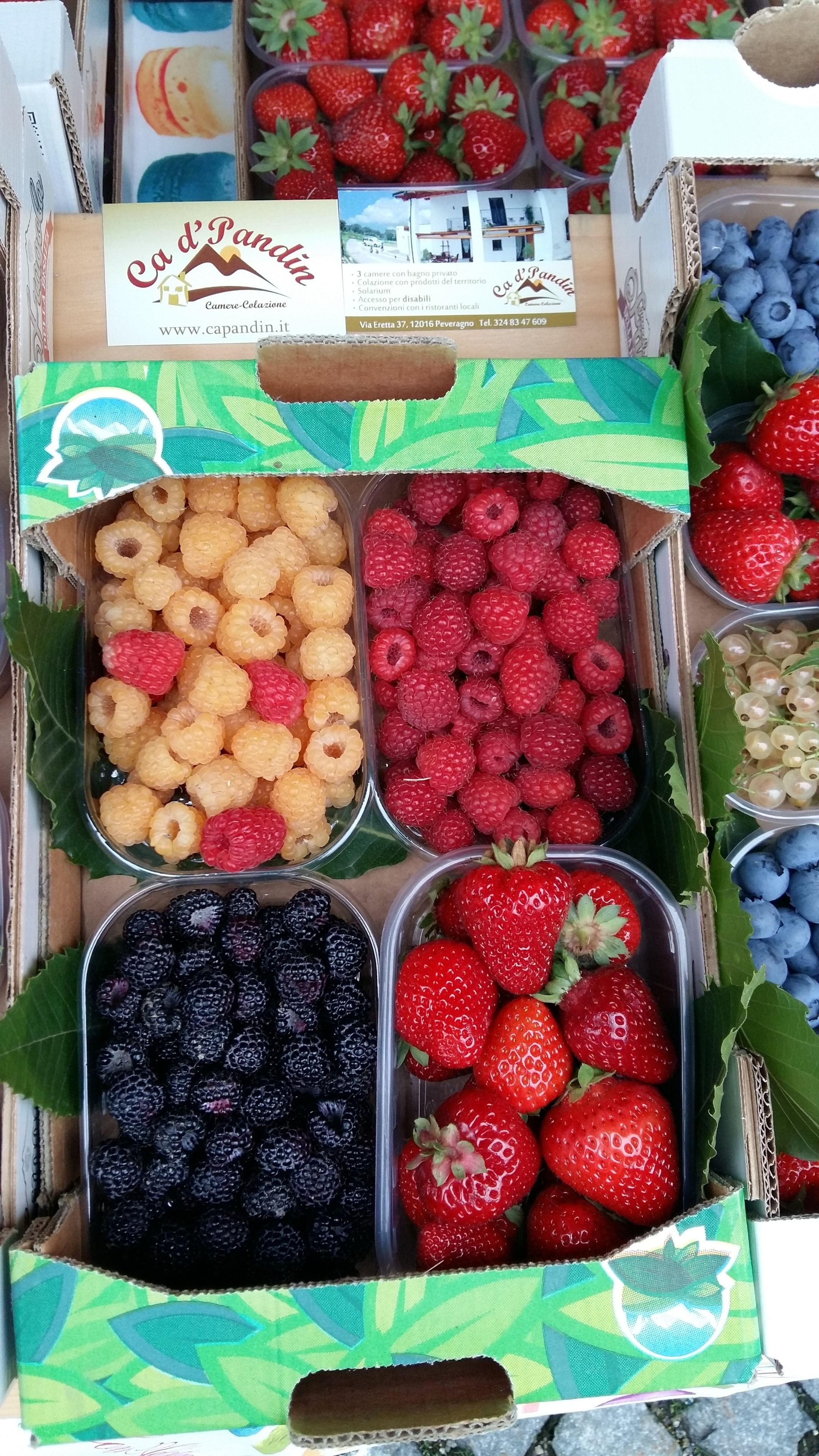 Un cestino con frutti di bosco assortiti, come lamponi, more e fragole.