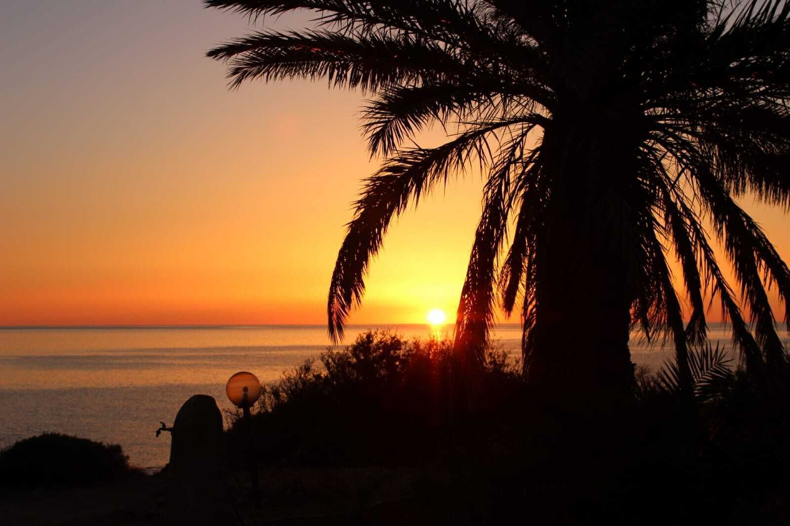Ein Sonnenuntergang über dem Meer mit der Silhouette einer Palme und einem kleinen Gebäude im Vordergrund.