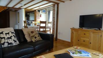 Smart TV, DVD player