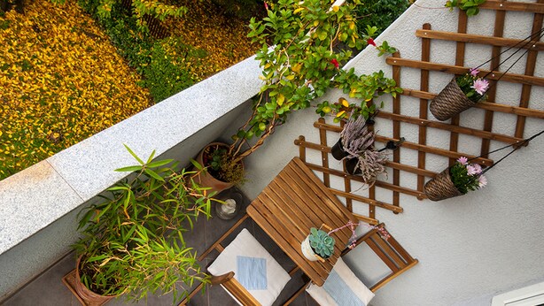A patio with a wooden table and chairs, surrounded by potted plants and a wooden trellis with hanging baskets.