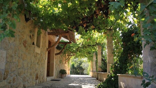 Pátio com piso de pedra, pérgola coberta por videiras verdes, paredes de pedra e plantas em vasos.