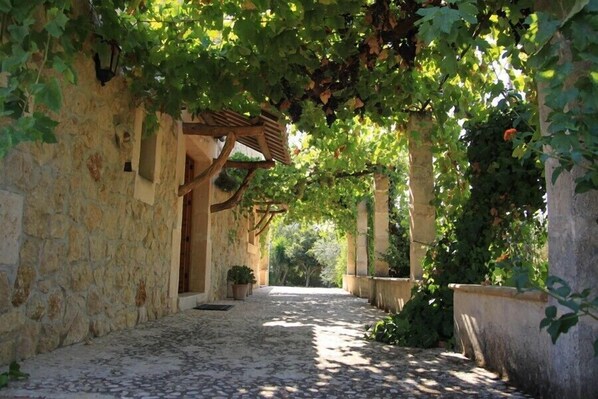 Terrein van de accommodatie