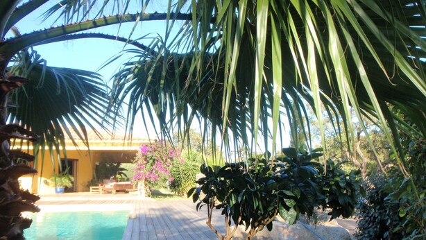 Una terraza de madera que conduce a una piscina rodeada de plantas tropicales y un edificio al fondo.