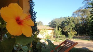 Una silla de lounge de madera y una flor de hibisco en un jardín con un edificio al fondo.