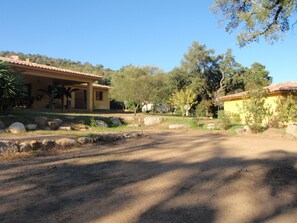 A residential property with a paved driveway, large rocks, and a variety of trees.