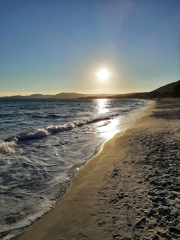 A beach with waves, a clear sky, and a distant sun.