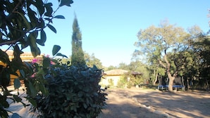 Un sendero pavimentado que conduce a un edificio con techo de tejas, rodeado de árboles y un jardín cuidado.