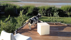A deck with a white plastic chair and a white block, overlooking a beach with a cow statue in the foreground. - House with terraces and unobstructed view of the beach with direct access (Saint-Aubin-Sur-Mer)