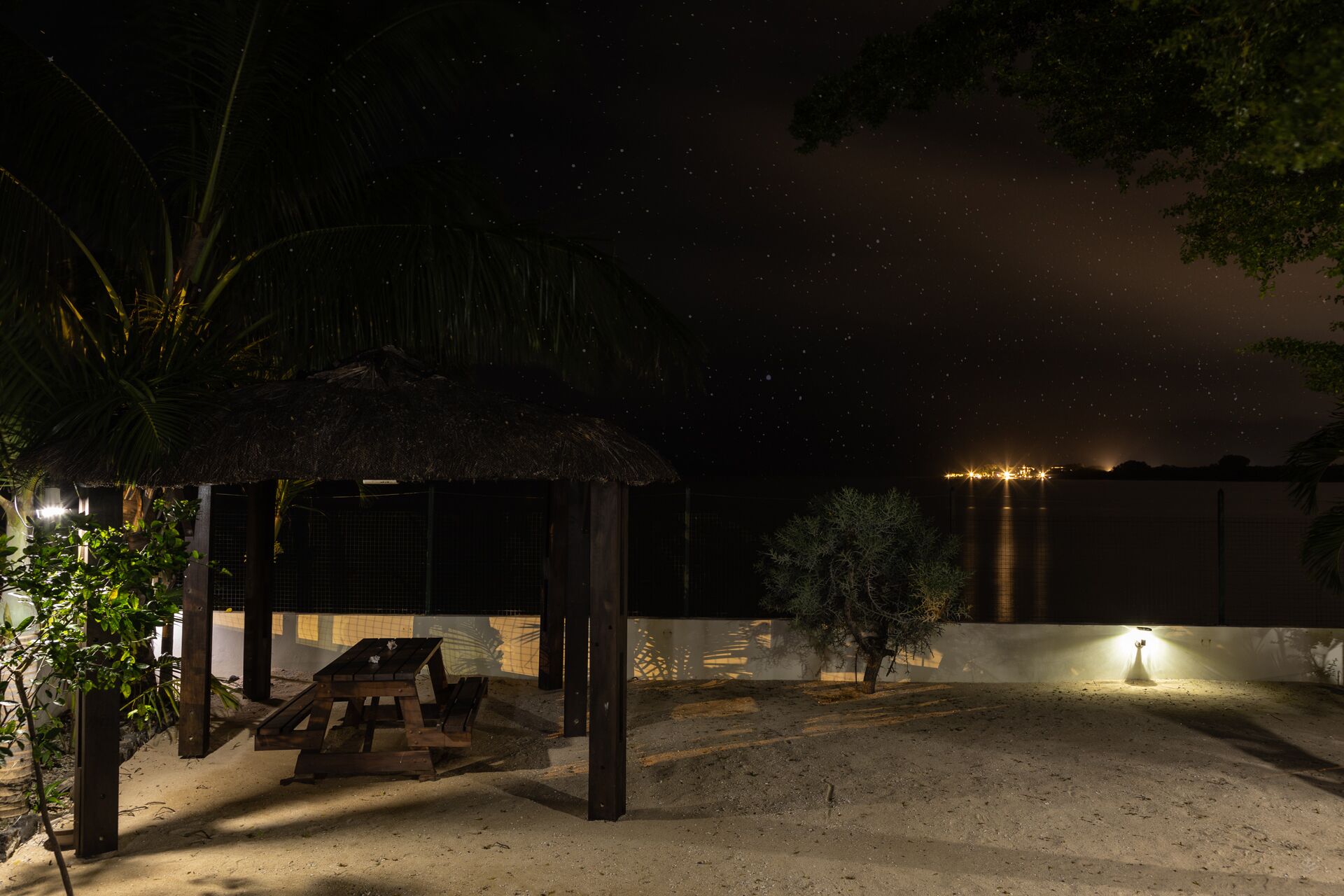 テラス / パティオ