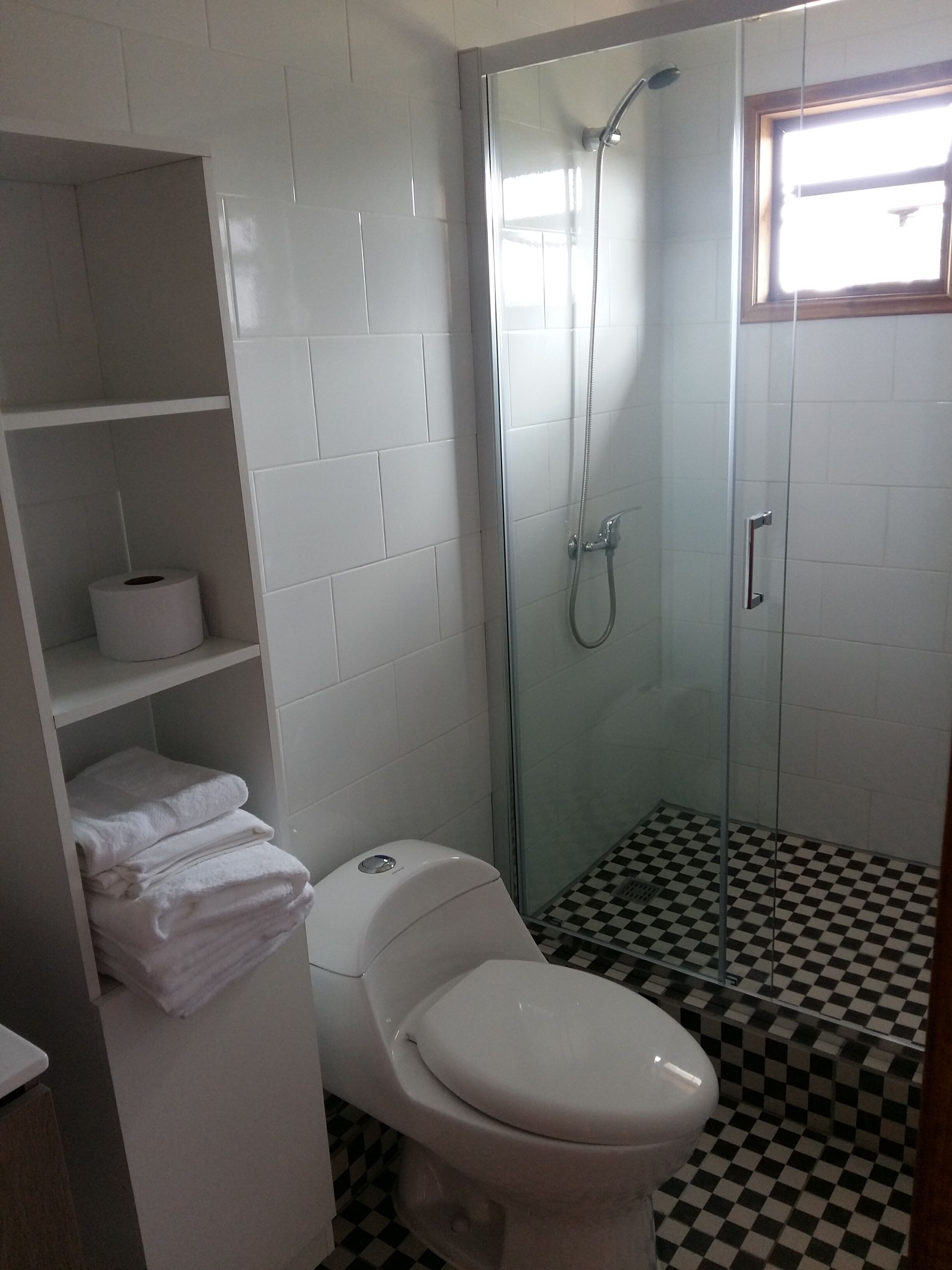 A bathroom with a toilet, a glass shower enclosure, and a checkered floor.