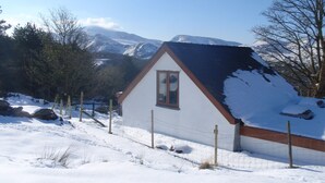 Eksteriør