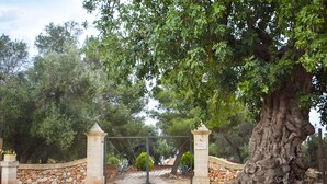 A gated entrance with stone walls and a large tree. - "Trulli Monte Madre 2" with Private Swimming Pool (San Vito dei Normanni)