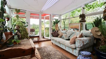 TV connectée, cheminée, livres, médiathÚque