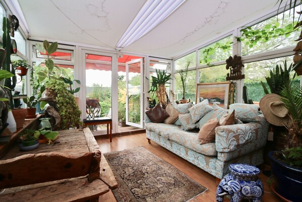 Smart TV, fireplace, books, music library