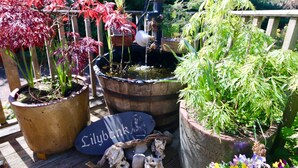 A garden with various potted plants and a wooden barrel fountain. - Unique 18th Century village cottage near Loch Lomond and Trossachs/ shop and pub (Killearn)