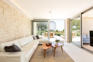 Smart TV, fireplace, DVD player, music library