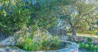 SA PUNTA - Villa with private pool in Son Carrio. Free WiFi