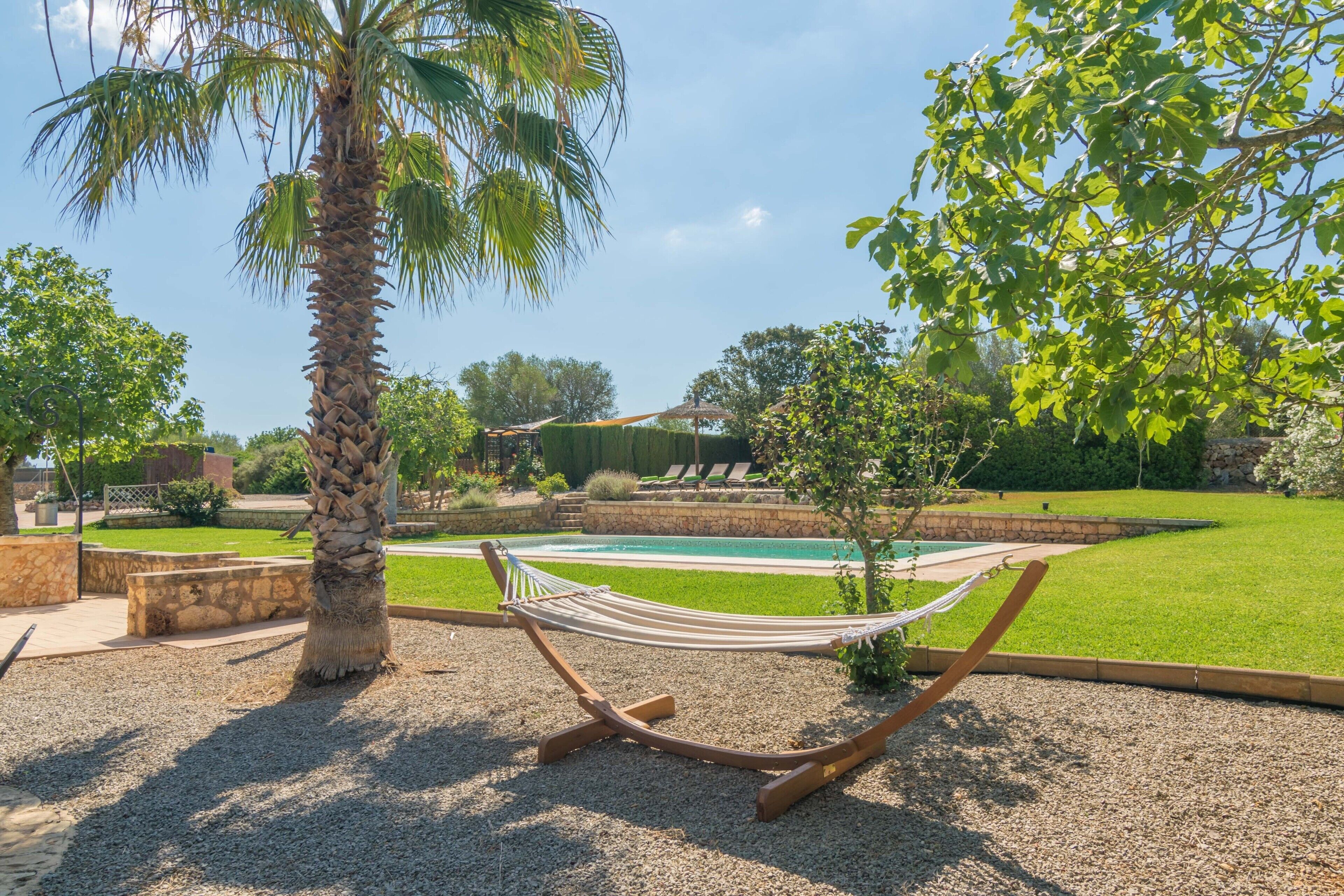 A hammock in a landscaped garden with a pool and palm trees.