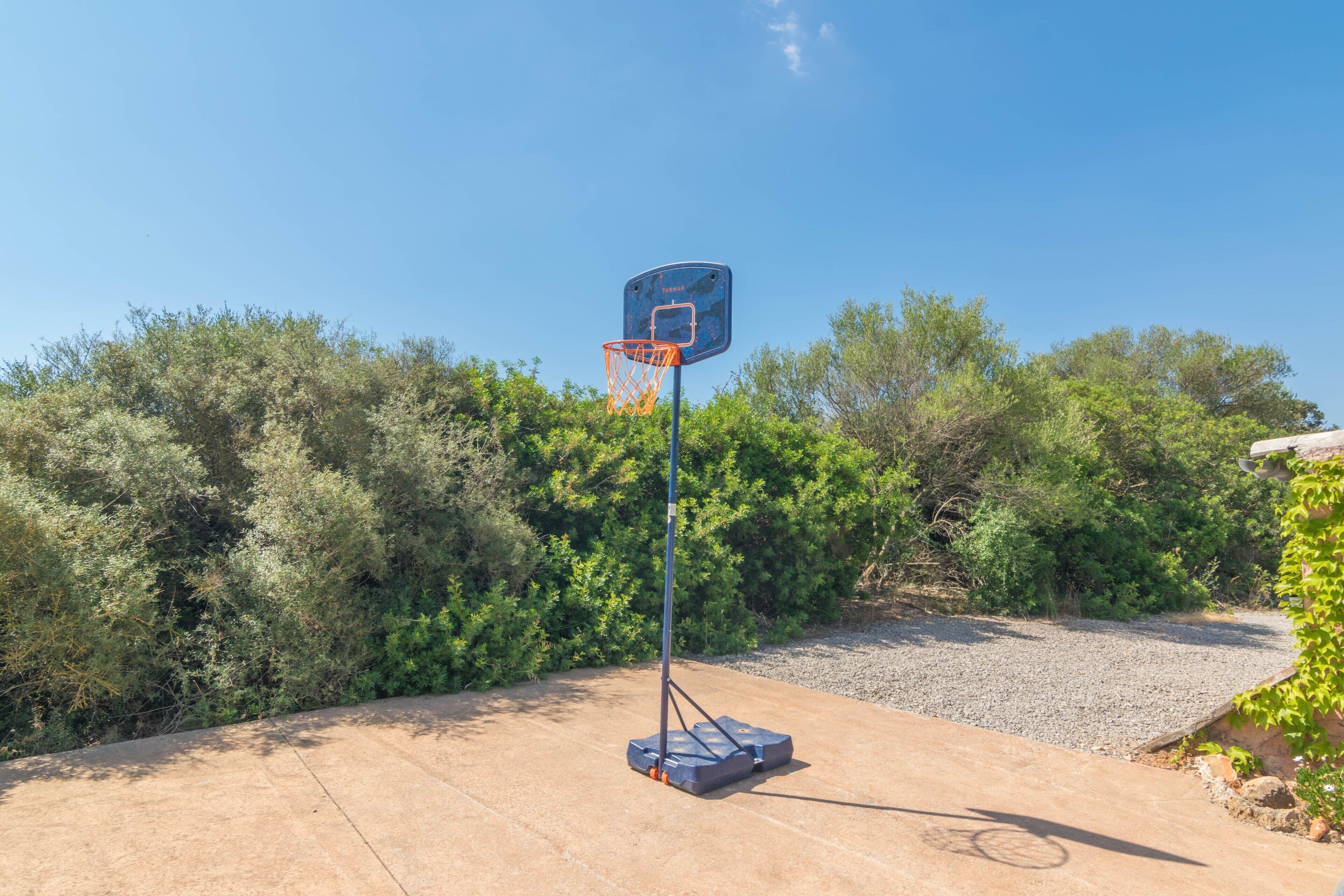 Ein Basketballplatz im Freien mit Korb, umgeben von dichtem Grün.