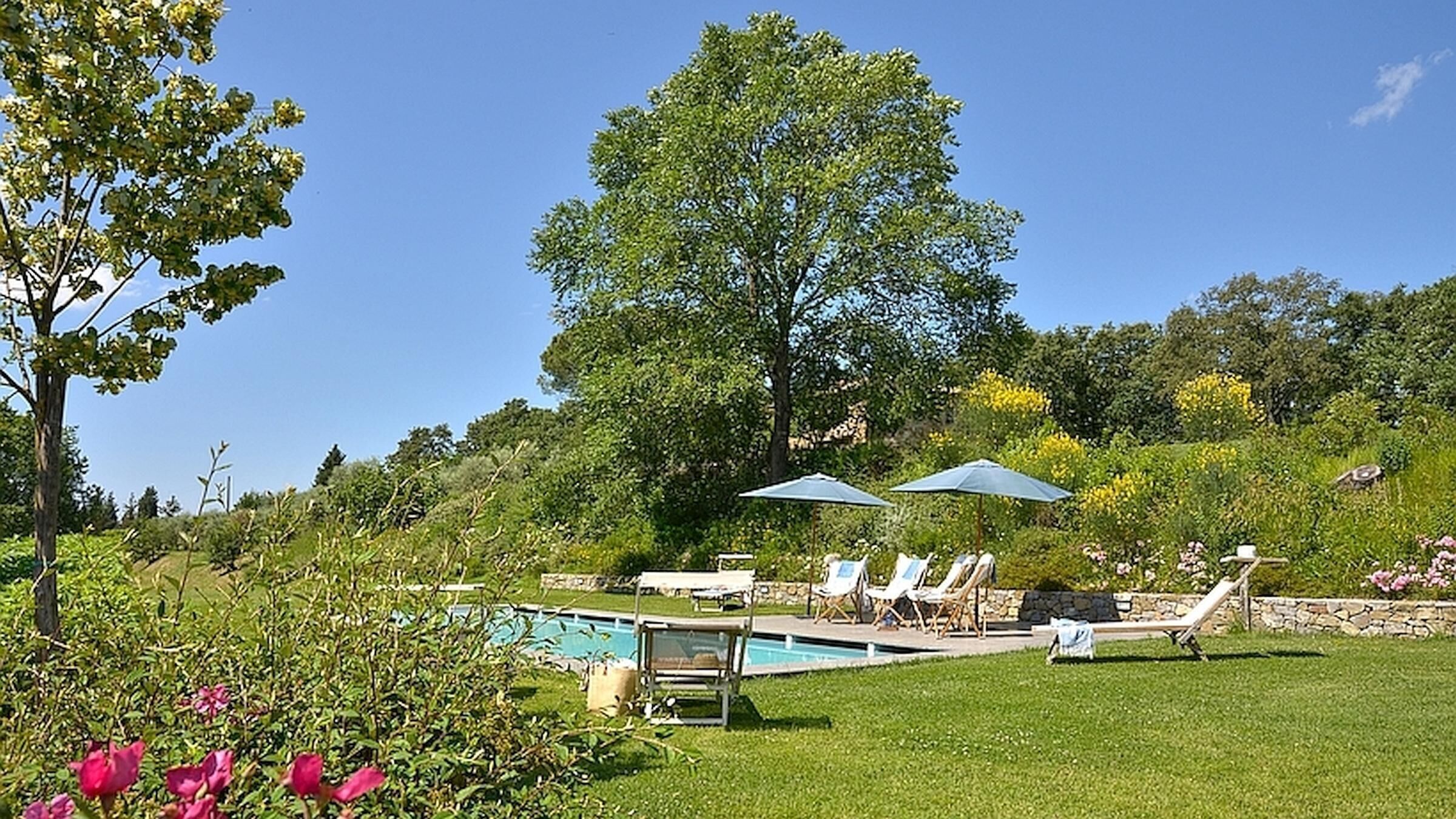 Ein Poolbereich mit Liegestühlen und Sonnenschirmen, umgeben von üppiger Vegetation und Bäumen.