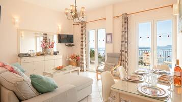 Télévision, lecteur de DVD, livres, chaßne hi-fi