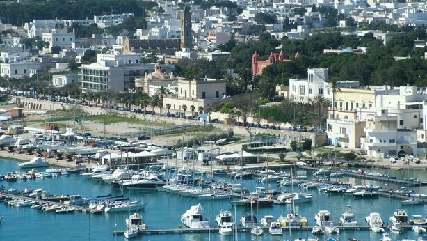 Un port de plaisance où sont amarrés de nombreux bateaux, entouré d’un quartier urbain densément peuplé, avec divers bâtiments et une colline en arrière-plan.