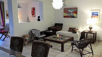 Télévision à écran plat, cheminée, lecteur de DVD, livres