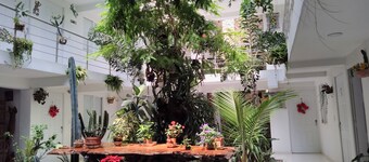 Hotel Boutique Los Remansos