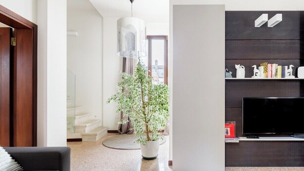 A modern living room with a sofa, a potted plant, a television, and a bookshelf.