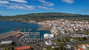 Vista aérea de un pueblo costero con un puerto deportivo, edificios residenciales y una colina destacada al fondo.