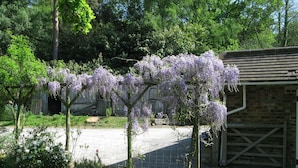 Un jardin avec des arbres aux fleurs violettes, un bâtiment en briques et une zone délimitée par une clôture.