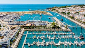 Un port de plaisance où sont amarrés de nombreux bateaux, une grande roue et, au loin, une ville côtière.