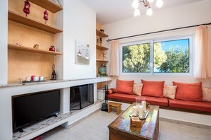 TV, fireplace, DVD player, books