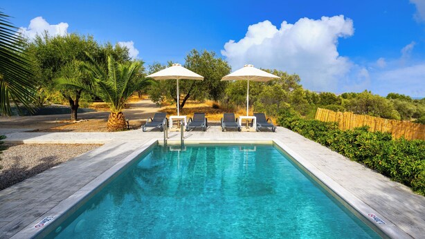Una piscina rectangular con agua azul cristalina, rodeada de sillas de descanso y sombrillas, con árboles y un cielo despejado al fondo.
