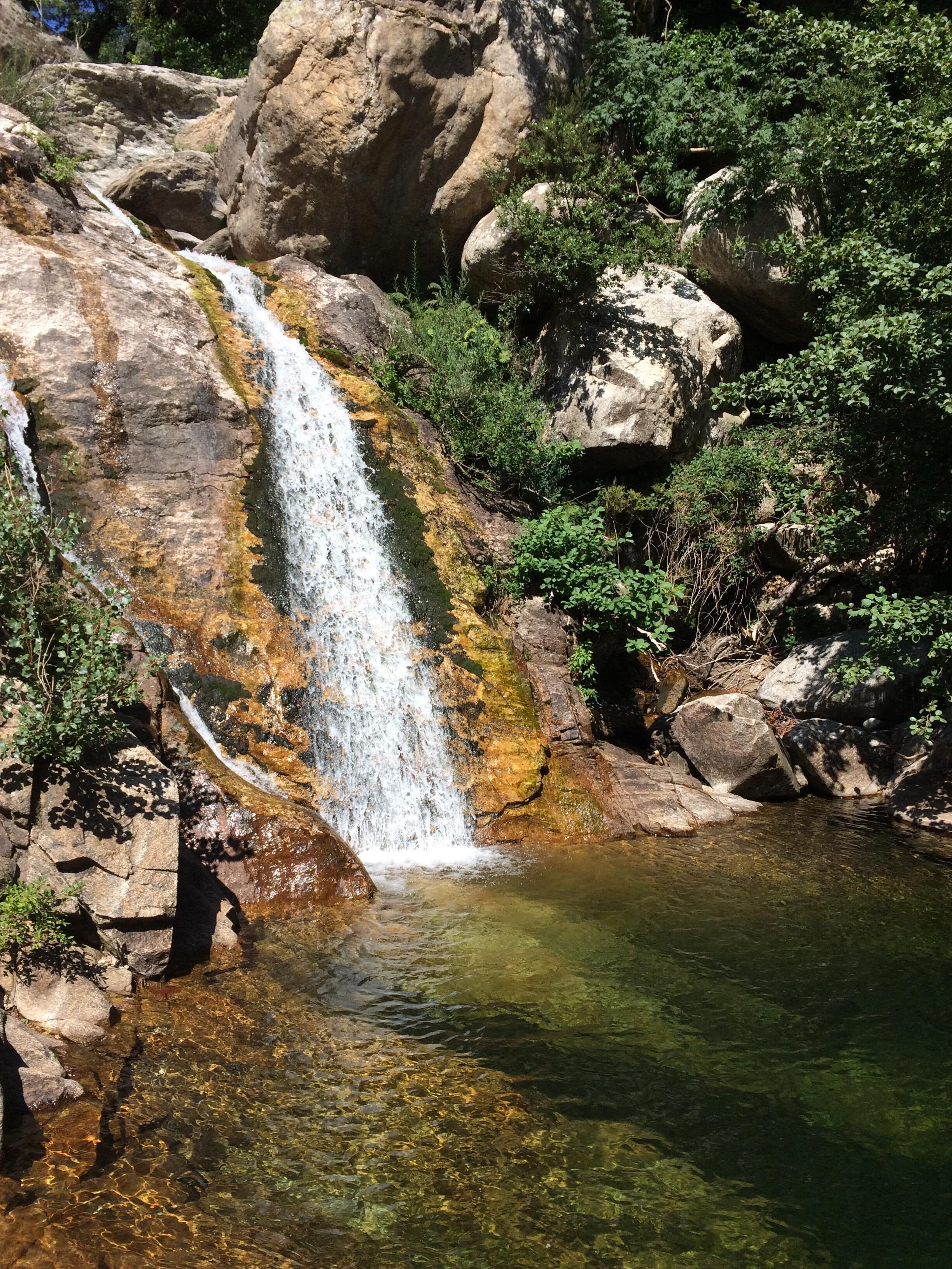 Une cascade d’eau se déversant sur des rochers dans un bassin limpide, le tout entouré de verdure.