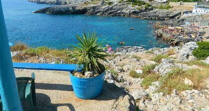 Apartment/ flat - Marina di Novaglie