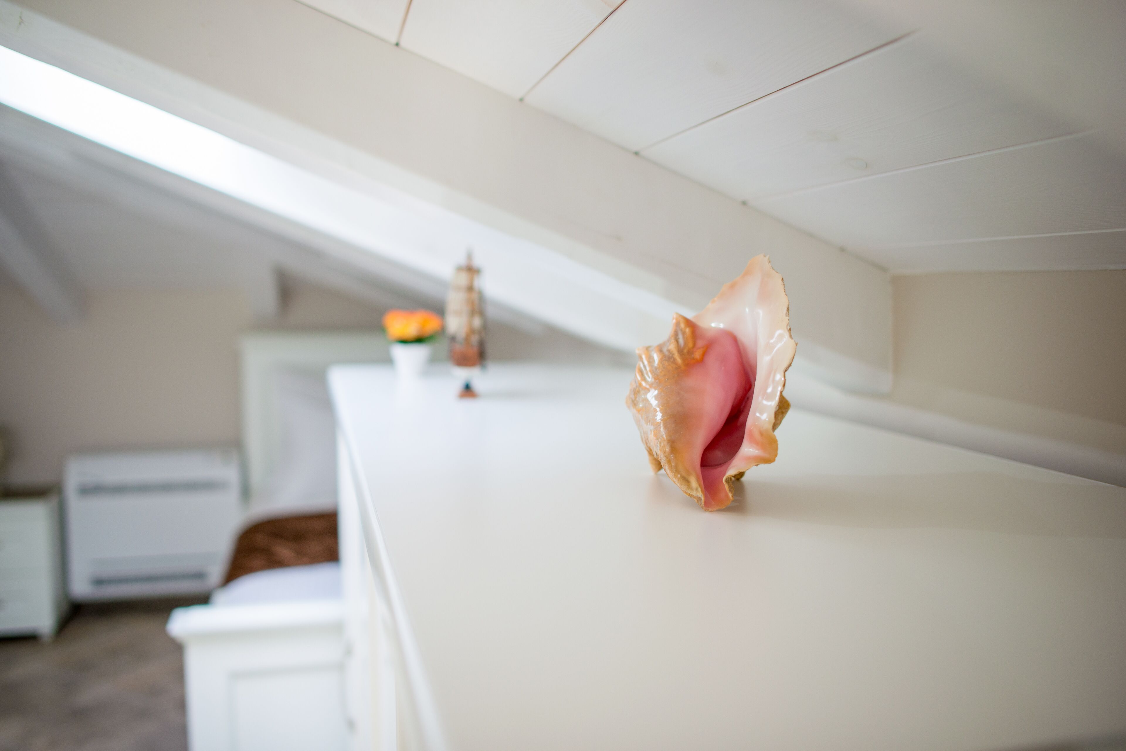 A white ceiling with a slanted roof, a white wall, and a white countertop with a seashell.