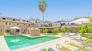 Una piscina con sillones de descanso y una palmera.