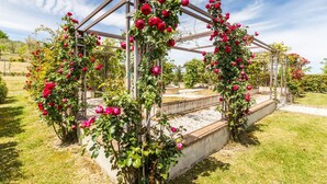 Un jardín con un sistema de pérgola cubierto de rosales florecientes rojos.