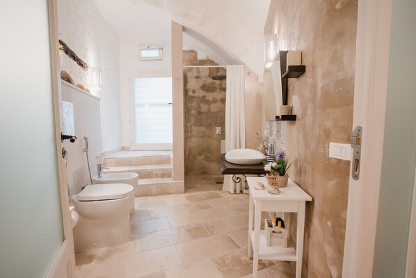 Regadera, secadora de cabello, bidet, toallas 
