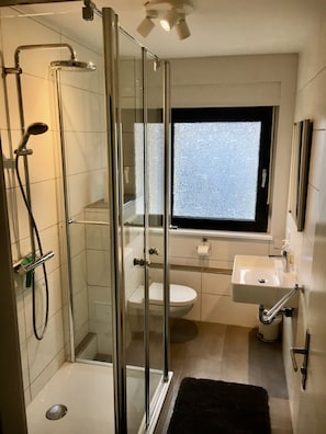 Bathroom features a glass-enclosed shower, toilet, and sink with a mirror.
