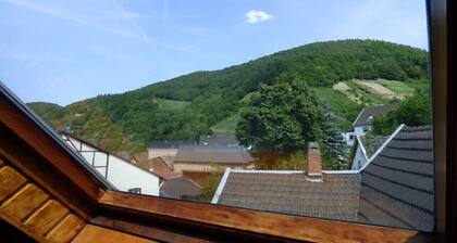 Relaxing in the old Winzerhaus Apartment EC