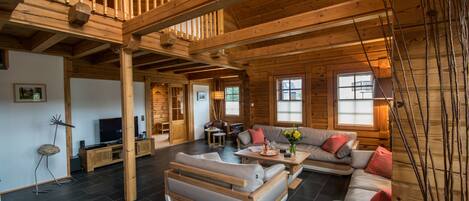 Télévision, cheminée, lecteur de DVD, livres