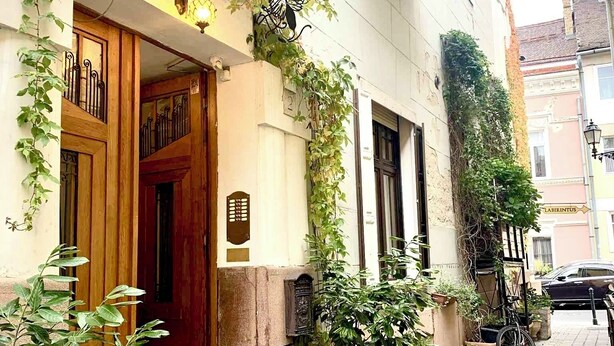 A narrow street with a building featuring a wooden door, potted plants, and a bicycle.