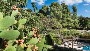 A garden with a pool area, including a wooden deck and a stone wall. - Monte - Independent House with private Pool, 4 People, Garden WiFi, A/C, Sicily (Ragalna)