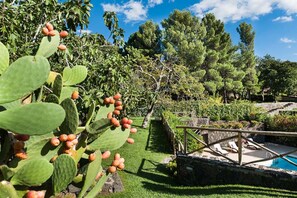 Property grounds - Monte - Independent House with private Pool, 4 People, Garden WiFi, A/C, Sicily (Ragalna)