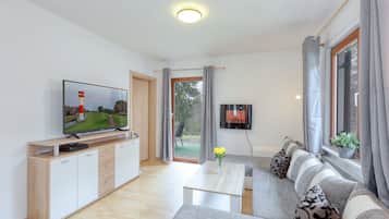 Smart TV, fireplace, DVD player, stereo