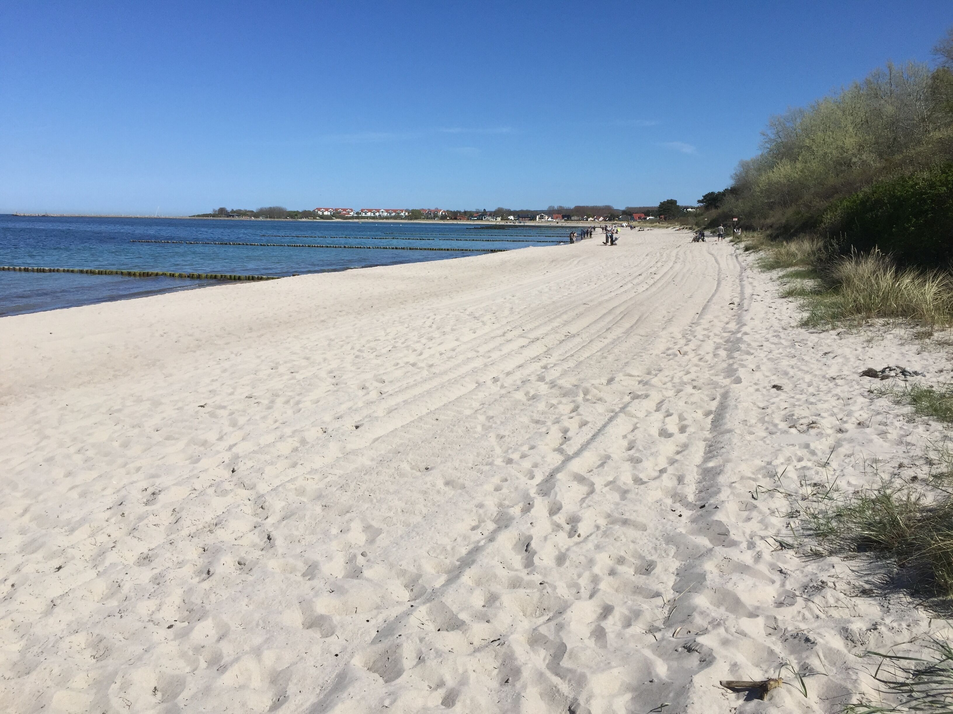 Strand