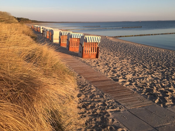 Une plage avec des chaises longues en bois et une promenade en bois.