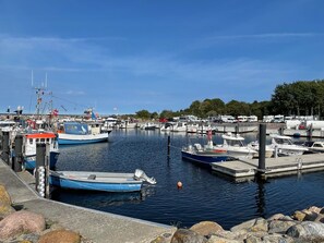 Un port de plaisance où sont amarrés différents types de bateaux, une jetée et un ciel dégagé.